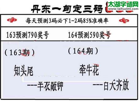 3d164期：山东真诀+丹东一句定三码