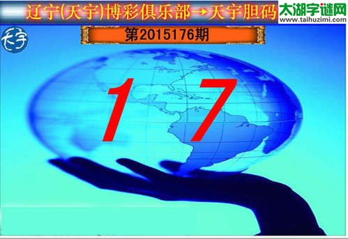 天宇图谜第2015176期胆码图