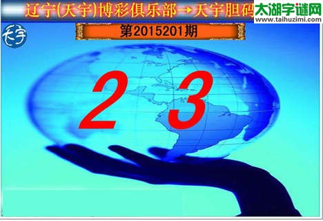 天宇图谜第2015201期胆码图