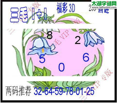 3d209期：3d三毛图库总汇