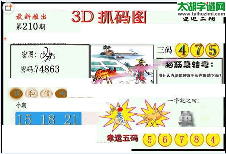 3d210期：红五图库（藏宝抓码图）