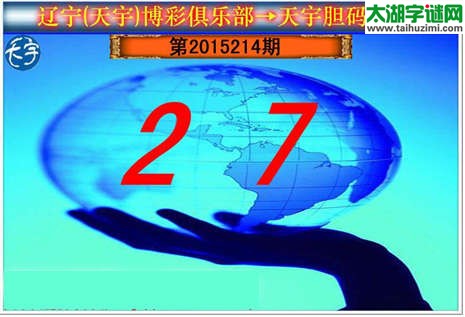 天宇图谜第2015214期胆码图