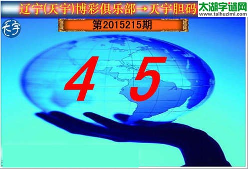 天宇图谜第2015215期胆码图