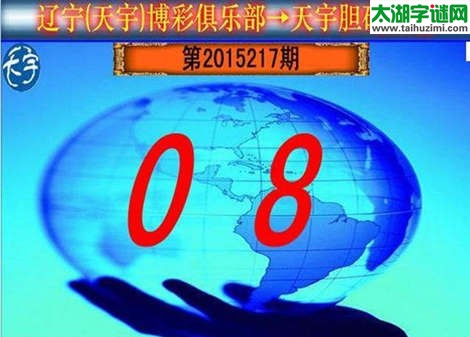 天宇图谜第2015217期胆码图