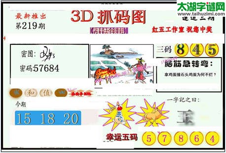 3d219期：红五图库（藏宝抓码图）