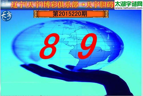 天宇图谜第2015220期胆码图