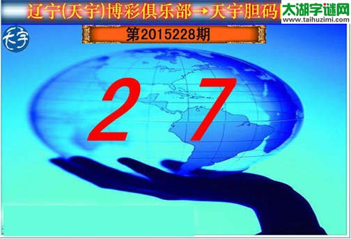 天宇图谜第2015228期胆码图