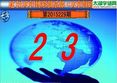 天宇图谜第2015229期胆码图