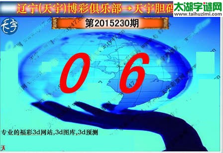 天宇图谜第2015230期胆码图