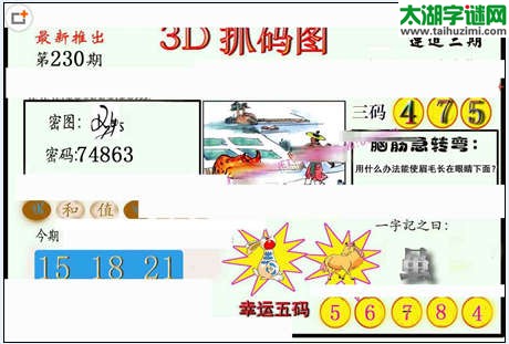 3d230期：红五图库（藏宝抓码图）