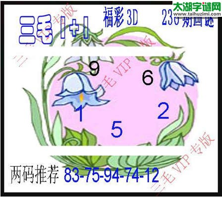 3d236期：3d三毛图库总汇