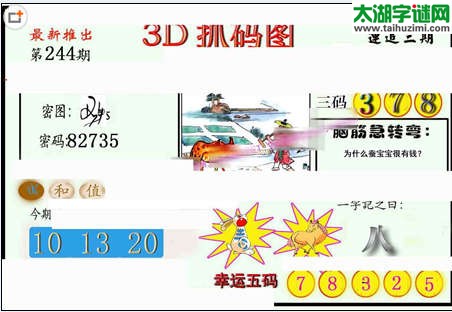 3d244期：红五图库（藏宝抓码图）