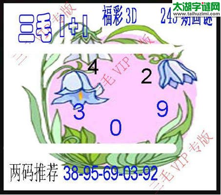 3d245期：3d三毛图库总汇