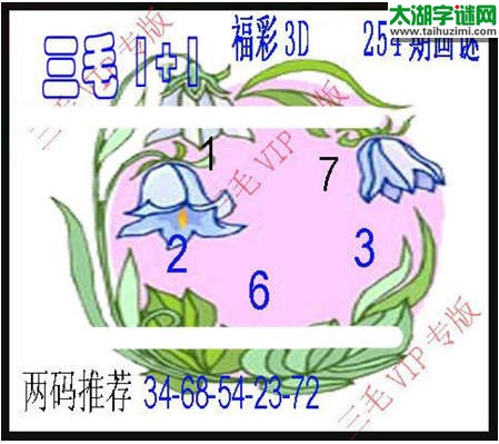 3d254期：3d三毛图库总汇