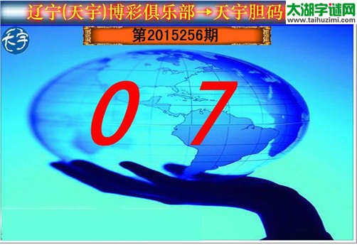 天宇图谜第2015256期胆码图