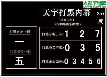 3d257期：天宇图谜(胆码杀号+必买五码)