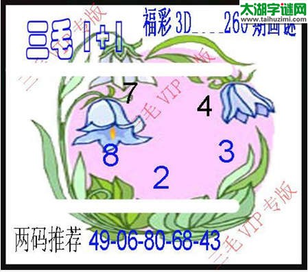 3d260期：3d三毛图库总汇