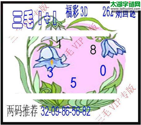 3d262期：3d三毛图库总汇