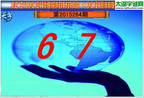 天宇图谜第2015264期胆码图