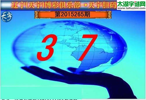 天宇图谜第2015265期胆码图