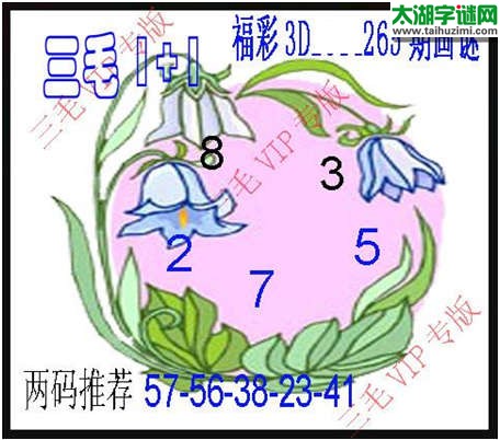 3d265期：3d三毛图库总汇