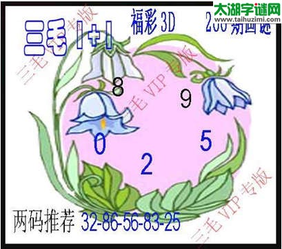 3d266期：3d三毛图库总汇