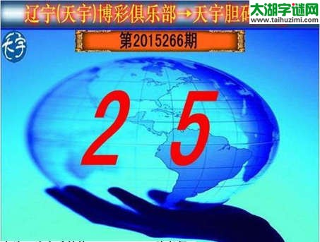 天宇图谜第2015266期胆码图