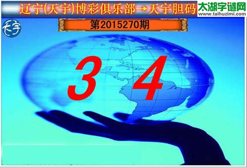 天宇图谜第2015270期胆码图