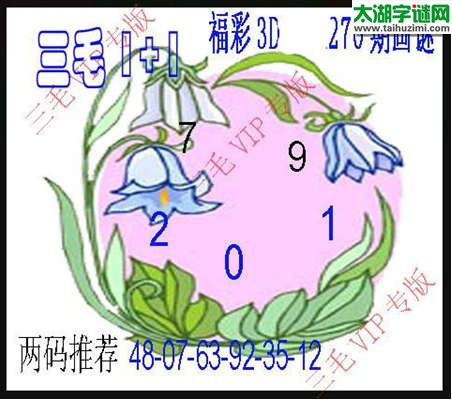 3d270期：3d三毛图库总汇