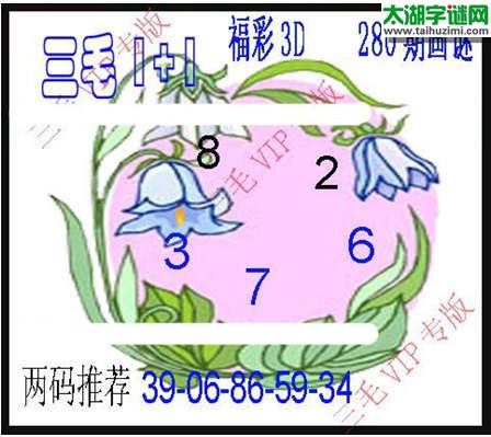 3d280期：3d三毛图库总汇