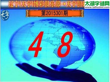 天宇图谜第2015301期胆码图