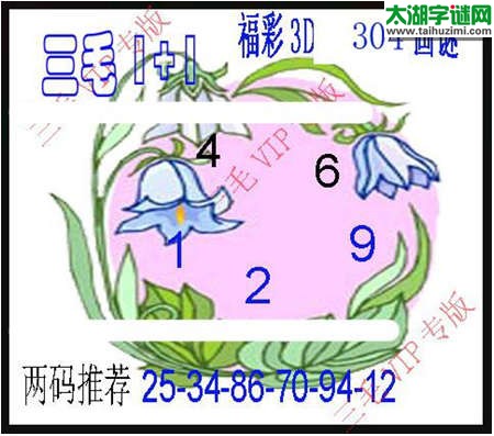 3d304期：3d三毛图库总汇