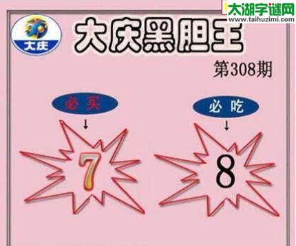 3d308期：大庆黑胆王图迷