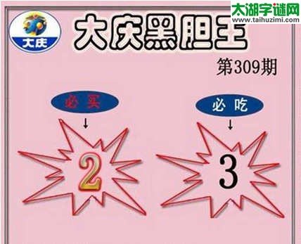 3d309期：大庆黑胆王图迷