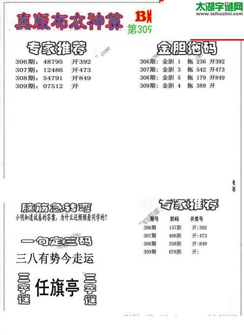 3d布衣神算AB版图谜2015309期