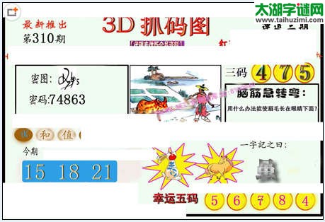 3d310期：红五图库（藏宝抓码图）