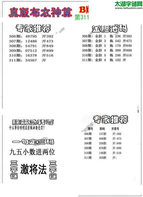 3d布衣神算AB版图谜2015311期