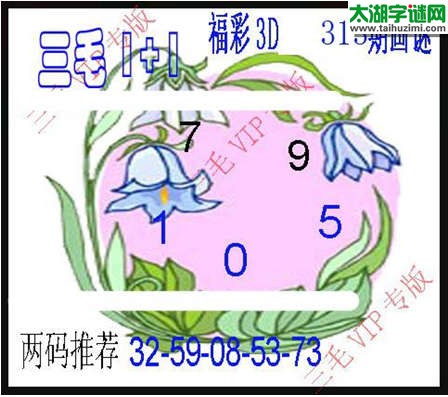 3d313期：3d三毛图库总汇