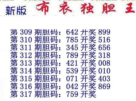 3d15317期：新版布衣独胆王图谜