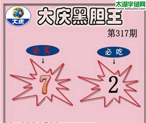 3d317期：大庆黑胆王图迷