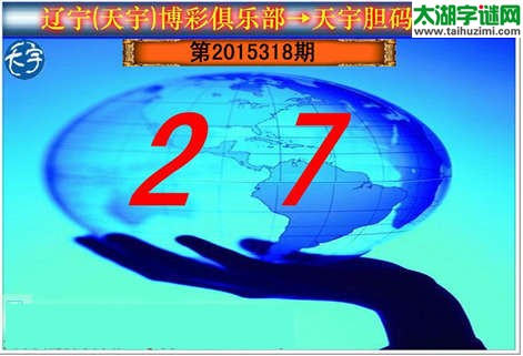 天宇图谜第2015318期胆码图