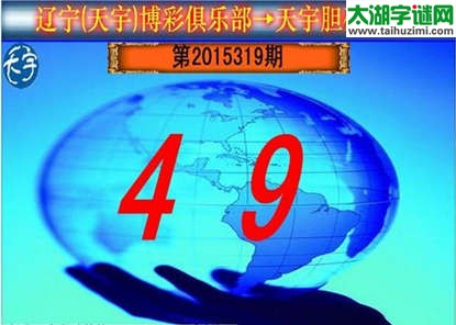 天宇图谜第2015319期胆码图