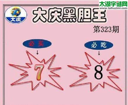 3d323期：大庆黑胆王图迷