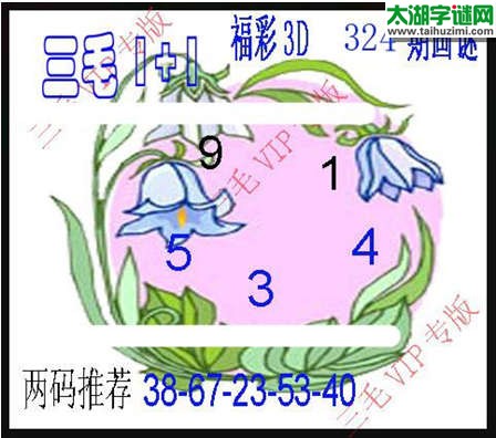 3d324期：3d三毛图库总汇