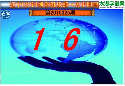 天宇图谜第2015325期胆码图