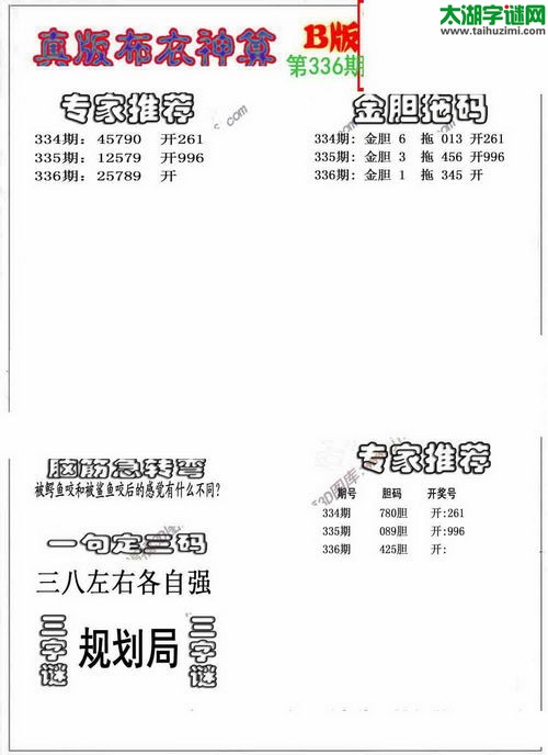 3d布衣神算AB版图谜2015336期