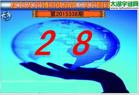 天宇图谜第2015338期胆码图