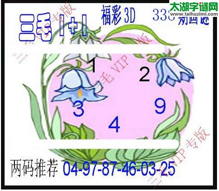 3d338期：3d三毛图库总汇