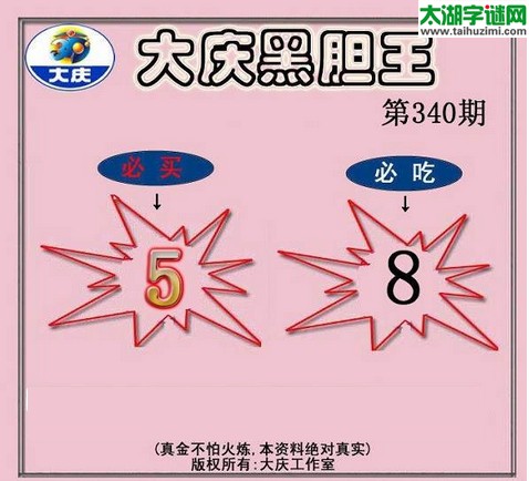 3d340期：大庆黑胆王图迷