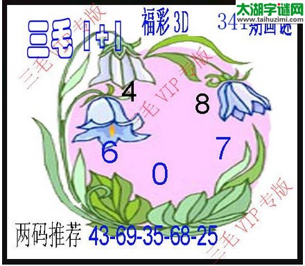 3d341期：3d三毛图库总汇